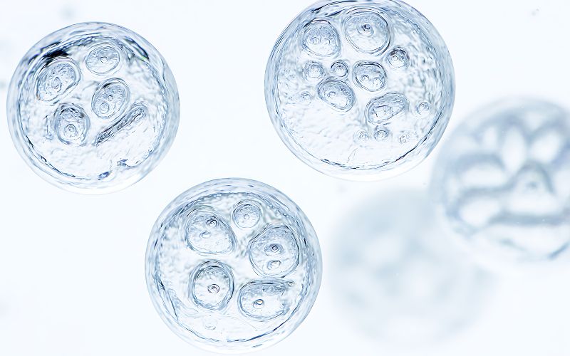 ¿El Test Genético Preimplantacional (PGT) puede dañar los embriones? Seguridad, riesgos reales y consideraciones antes de decidir